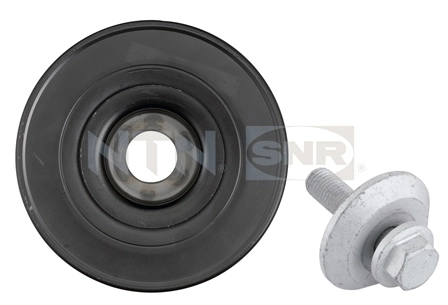 Polia de cambota Renault Laguna II BG0, BG1 ao melhor preço