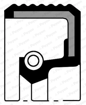 P7609401 Glaser Vedação da árvore distribuidora de motor