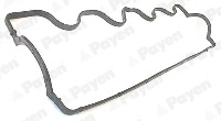 JM5003 Payen