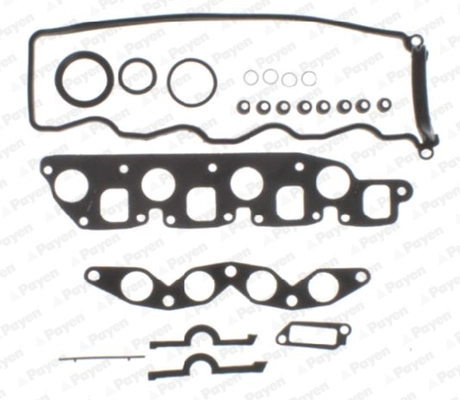 CG5530 Payen