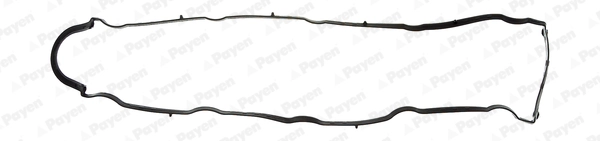 JP043 Payen