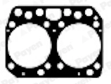 BV500 Payen