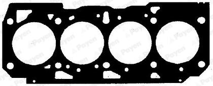 BZ801 Payen
