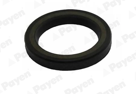 Compre 2142103001 Ssang Yong Vedação dianteira de cambota de motor