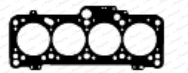 BV860 Payen