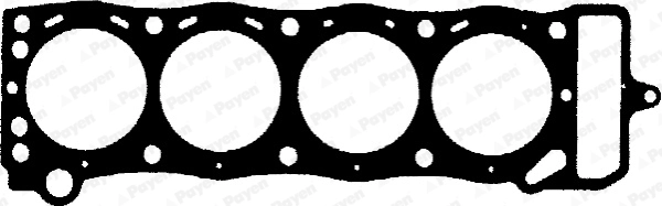 BM880 Payen