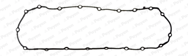 JH5107 Payen