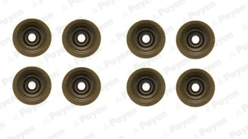 HR5051 Payen