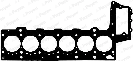 AG9010 Payen