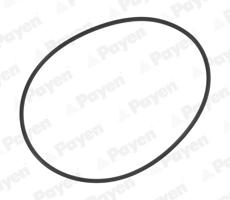 PA709 Payen