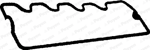 JN454 Payen