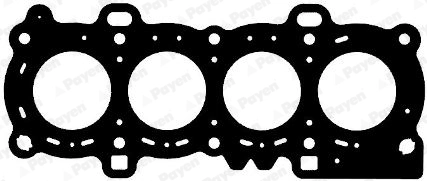 AG8310 Payen
