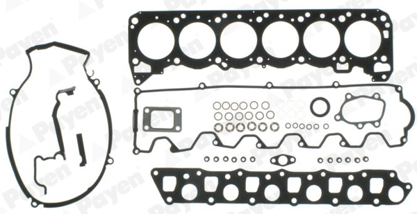 DV250 Payen