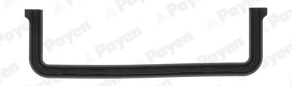 JR5051 Payen