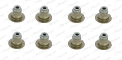 HR5120 Payen
