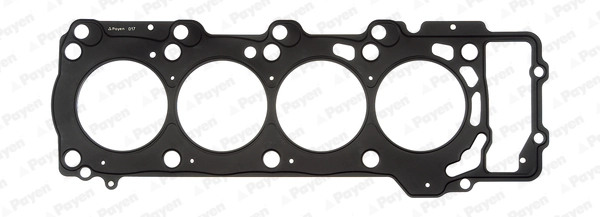 AB5550 Payen
