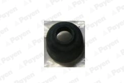 KJ208 Payen