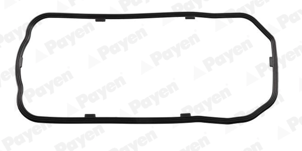 JH5199 Payen