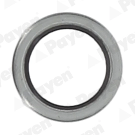 KG5011 Payen