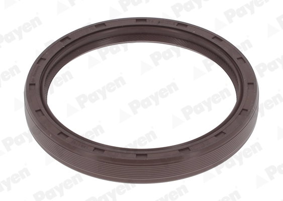 NF776 Payen