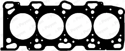 AF5070 Payen