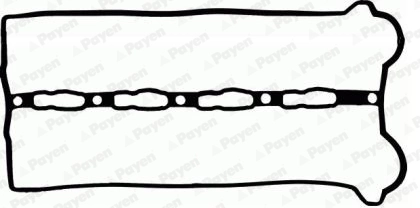 JM5310 Payen
