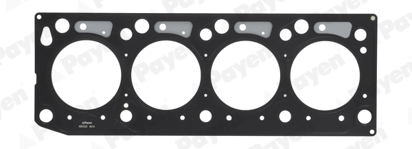 AB5320 Payen Vedante de cabeça de motor (CBC)