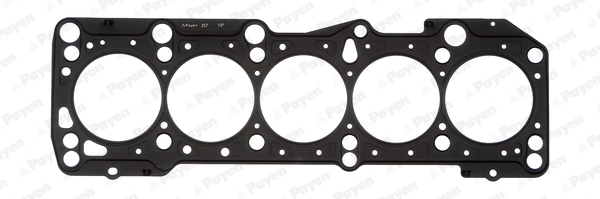 AF5310 Payen