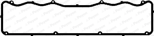 JN388 Payen
