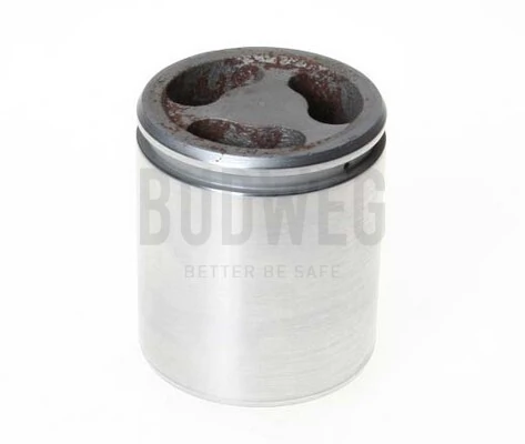 235210 Budweg