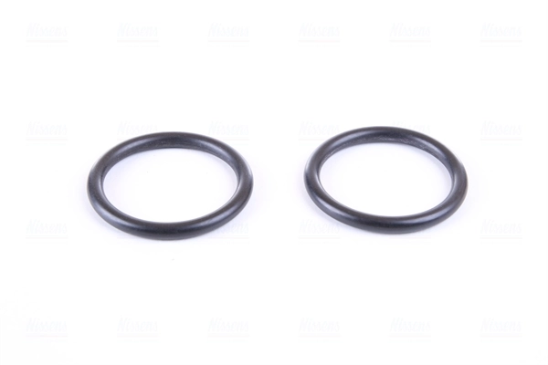 Radiador de esfriamento de motor 60305A Nissens