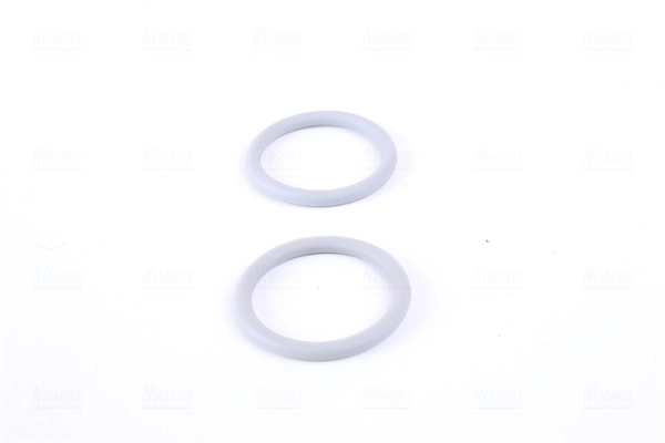 Radiador de esfriamento de motor 60423A Nissens