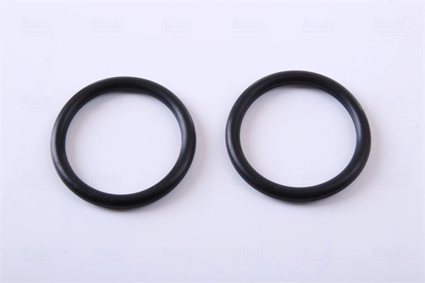 Radiador de esfriamento de motor 60303A Nissens