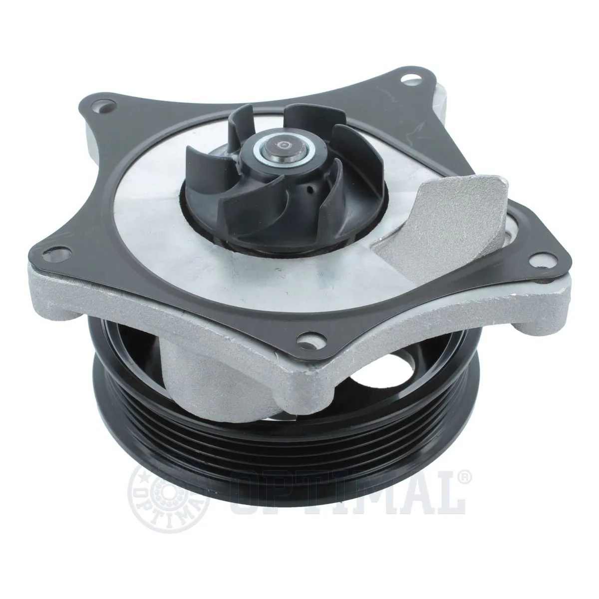 Compre 12667387 General Motors Bomba de água (bomba) de esfriamento