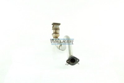 20944 Walker