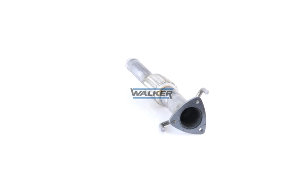 10573 Walker