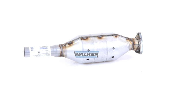 20196 Walker Convertidor - catalisador