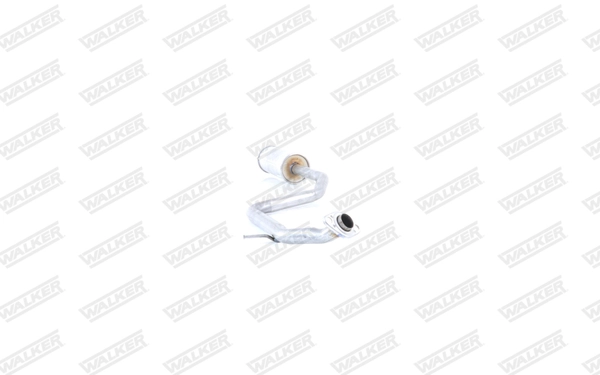 Compre 23881 Walker Convertidor - catalisador