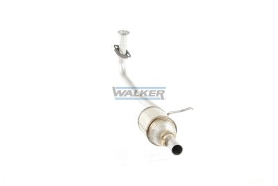 28019 Walker
