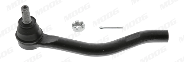 HOES15389 Moog