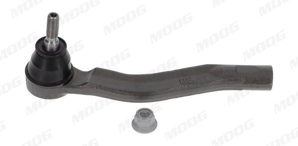 REES13646 Moog