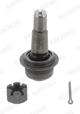 AMGK7455 Moog