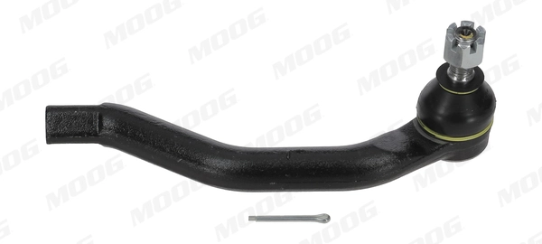 HOES13261 Moog