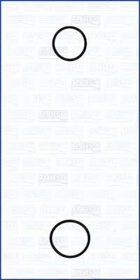 77001900 Ajusa