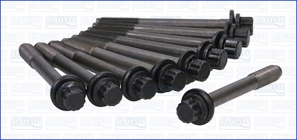81029800 Ajusa