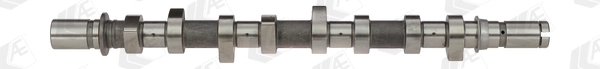 Compre CAM921 Federal Mogul Árvore distribuidora de motor