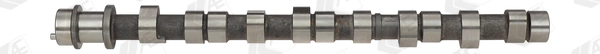 CAM390 AE