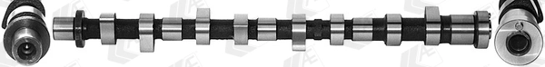  Árvore distribuidora de motor de admissão Nissan X-Trail SUV (T30) (2001 - 2007) 