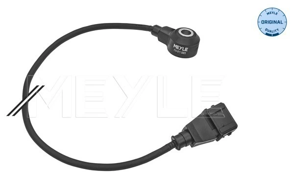 550207A ERA Benelux Sensor de detonação