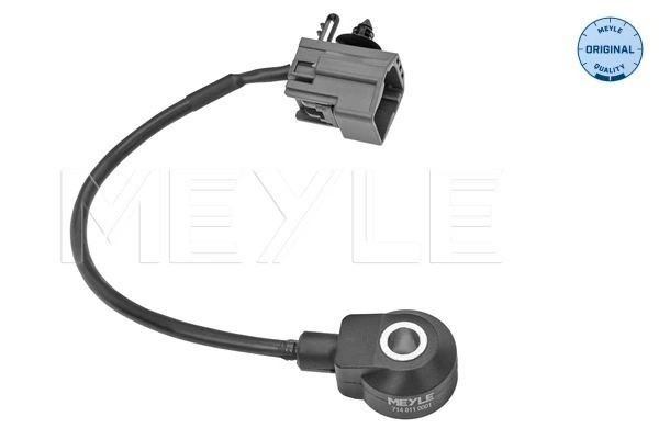 Sensor de detonação para Mazda 6  GG